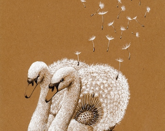 postal cisne/diente de león