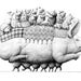 see more listings in the Cartes postales section