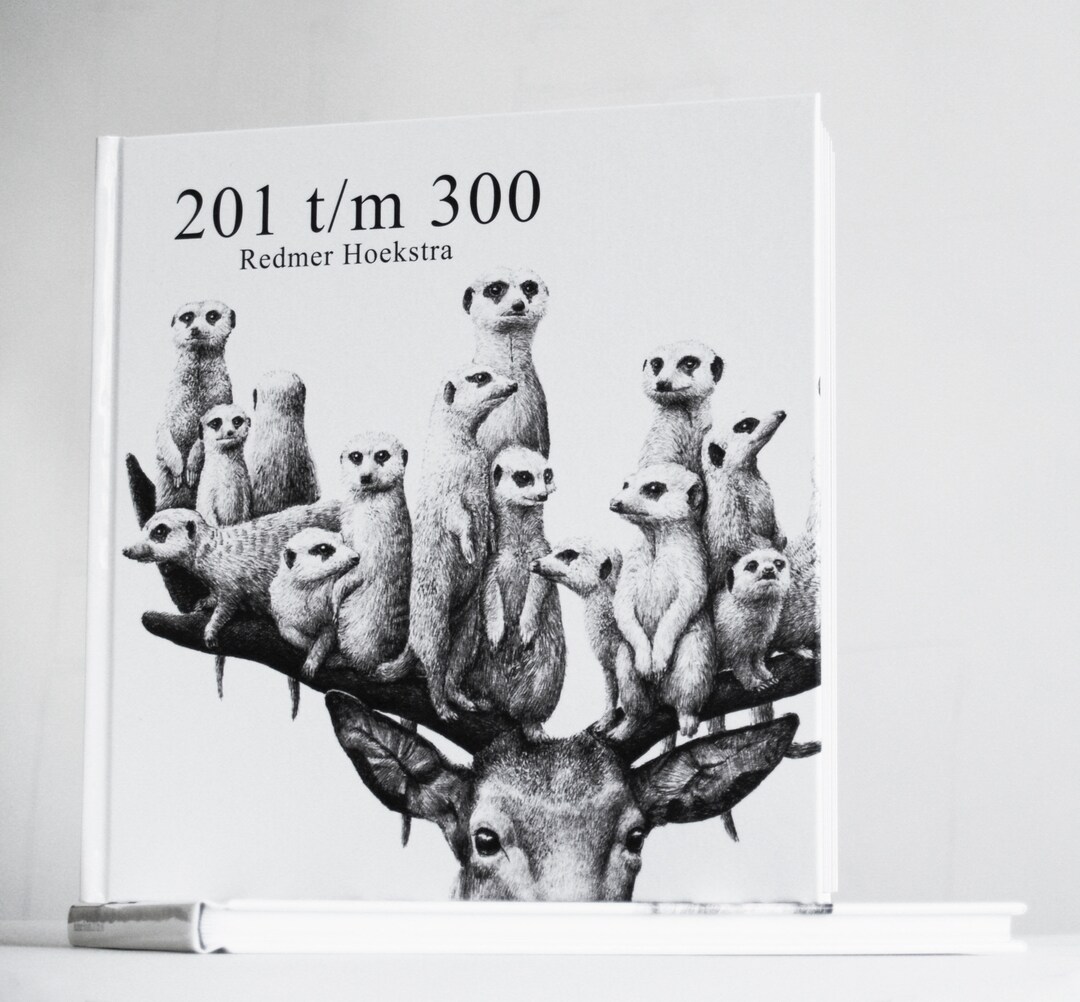 Book 201 Tm 300. - Etsy