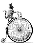 postcard Cat riding a bike with mice product logo