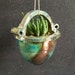 see more listings in the Planters and Terrariums section