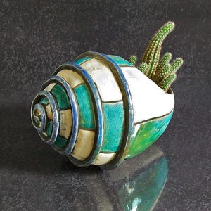 Puede incluir: Una maceta de cerámica con forma de concha marina con un diseño geométrico verde, blanco y azul. La maceta contiene un pequeño cactus. La maceta está sobre una superficie oscura y reflectante.
