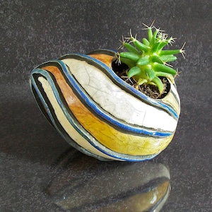Può includere: Un piccolo vaso decorativo in ceramica con un cactus. Il vaso ovale presenta strisce blu, arancioni e gialle. Il cactus è verde con piccole spine. Il vaso è appoggiato su una superficie scura.