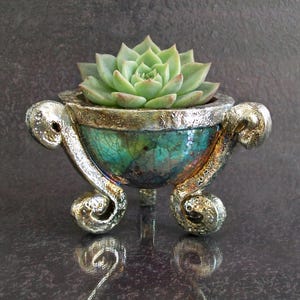 Puede incluir: Una planta suculenta decorativa en una maceta plateada y ornamentada. La maceta tiene un interior turquesa y dorado, con asas y patas curvas. La suculenta es de color verde claro.
