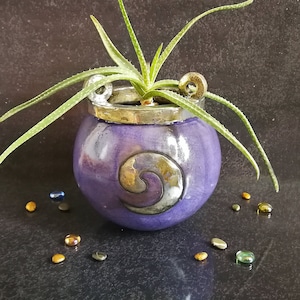 May include: A small purple ceramic planter with a silver and gold swirl design, holding a green succulent plant.