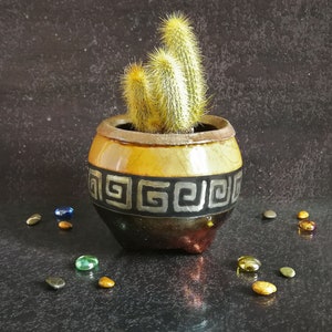 Puede incluir: Un pequeño cactus espinoso en una maceta de cerámica decorativa. La maceta es amarilla y negra con un diseño geométrico. Guijarros de vidrio de colores están dispersos alrededor de la maceta sobre una superficie oscura.