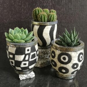 Puede incluir: Tres macetas de cerámica decorativas con patrones geométricos en blanco y negro. Cada maceta contiene una suculenta o cactus diferente. Las macetas están sobre pequeñas bases de piedra clara sobre un fondo oscuro.