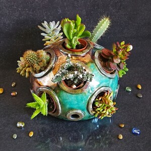 Raku ceramic spherical display for small succulents, mini dome garden for succulent or plants compositions, customizable color image 5