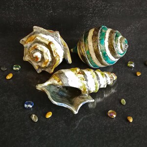 Set di conchiglie in ceramica Raku con smalto craquelé. Aggiungono un tocco costiero ed elegante alla tua casa.
Set of Raku ceramic shells with crackled glaze. Add a coastal and elegant touch to your home.