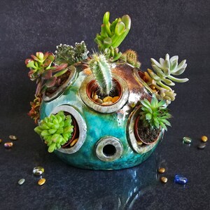 Raku ceramic spherical display for small succulents, mini dome garden for succulent or plants compositions, customizable color image 2