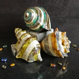 Conchiglie decorative in ceramica Raku. Ideali come centrotavola o decorazione. Colori pastello personalizzabili.
Decorative Raku ceramic shells inspired by real marine species. Perfect as a centerpiece or decoration. Customizable pastel colors.