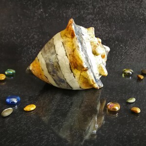 Puede incluir: Una concha de cer&aacute;mica con un patr&oacute;n a rayas en tonos blancos, naranjas y grises. La concha est&aacute; rodeada de peque&ntilde;os guijarros de vidrio de colores sobre una superficie oscura y reflectante. Objeto decorativo.
