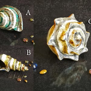 Puede incluir: Tres conchas marinas decorativas de cer&aacute;mica en varias formas y colores. Una es una espiral con rayas verdes, blancas y marrones. Otra es una concha larga y en espiral con tonos amarillos, blancos y azules. La tercera es una concha grande y texturizada con borde plateado.