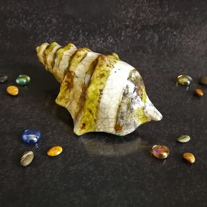 Puede incluir: Una escultura de concha de cer&aacute;mica con una combinaci&oacute;n de colores crema, verde y marr&oacute;n. La concha est&aacute; rodeada de peque&ntilde;os guijarros de vidrio de colores. La escultura tiene una superficie texturizada y es un objeto decorativo.