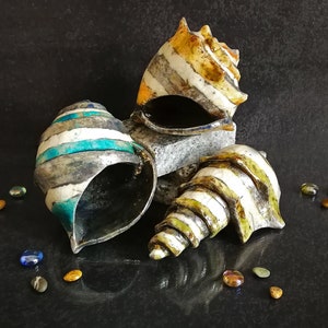 Set di conchiglie in ceramica Raku con smalto craquelé. Aggiungono un tocco costiero ed elegante alla tua casa.
Set of Raku ceramic shells with crackled glaze. Add a coastal and elegant touch to your home.