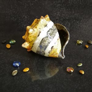 Puede incluir: Una concha de cer&aacute;mica con rayas amarillas, blancas y grises, sobre una superficie oscura. Peque&ntilde;as piedras de colores est&aacute;n dispersas alrededor de la concha. La abertura de la concha revela un interior oscuro.