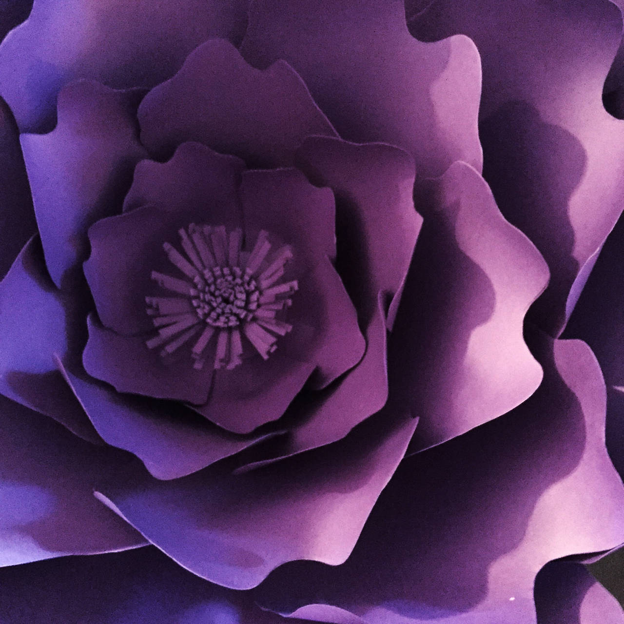 Paper Flower Template Pdf and Svg Files Giant Paper Flower Etsy UK