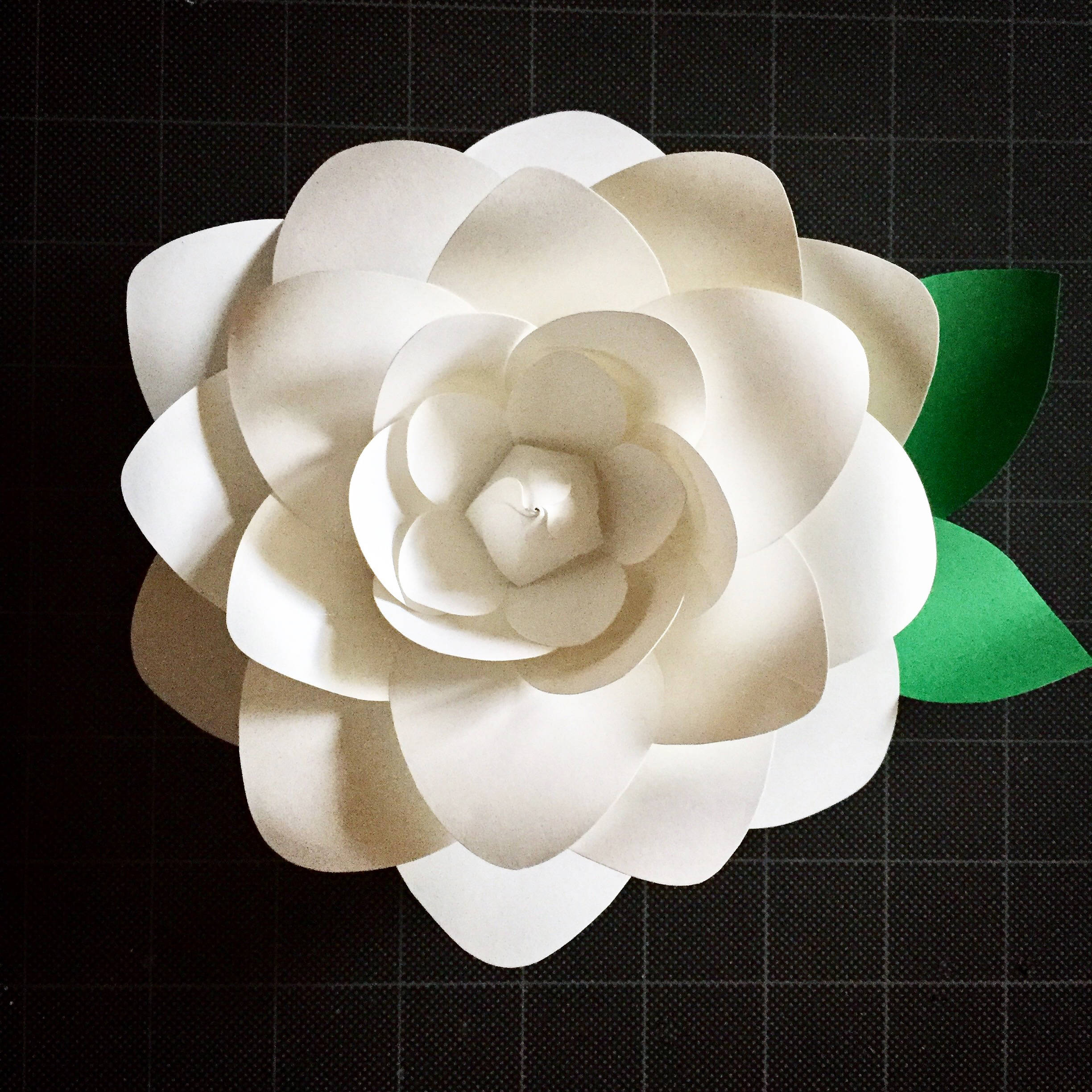Paper Flower Gardenia Template Digital Download pdf and svg Etsy
