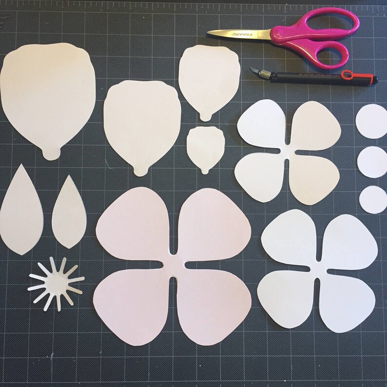 Hydrangea Paper Flower Template PDF and SVG files Popular | Etsy