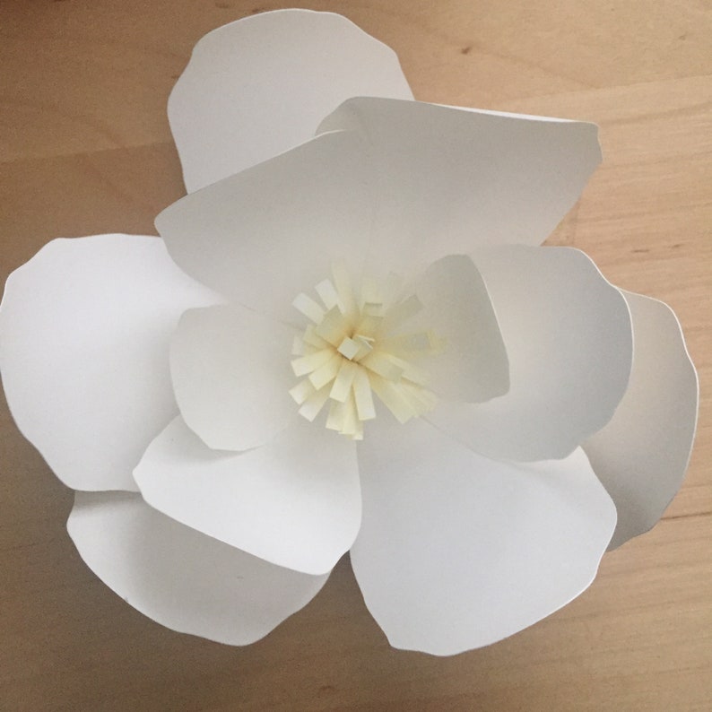 Paper Flower Template: Magnolia svg and pdf Digital Download | Etsy