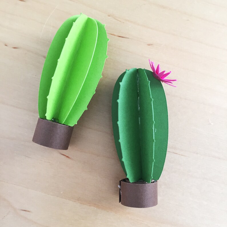 Paper Cactus Template SVG And PDF Cricut Template Paper Etsy