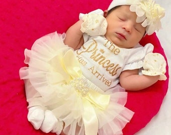 Personalized Princess Has Arrived outfit - Coral Pink, Mint/Aqua and Gold/Silver glitter