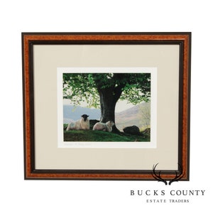 May include: Framed photograph of three sheep resting under a tree in a field. The sheep are white with black faces. The tree is green and leafy. The background is a blurry landscape of hills and mountains.