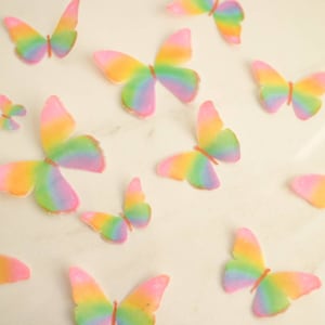 24 Edible Butterfly  in RAINBOW colors, Toppers, 2 DOZEN, edible paper, baby shower, 1st birthday, spring, princess, pride