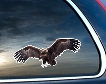 Brown Vulture - Calcomanía de vinilo para computadora portátil, Windows, vidrio y automóviles