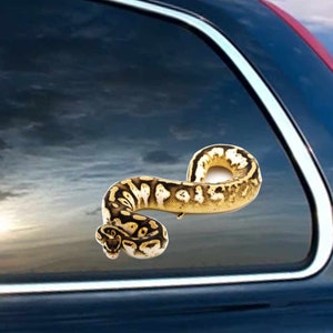 May include: A car window sticker depicting a ball python snake. The snake has a tan and cream base colour with black and brown markings. The sticker is applied to a car window with a cloudy sky in the background.