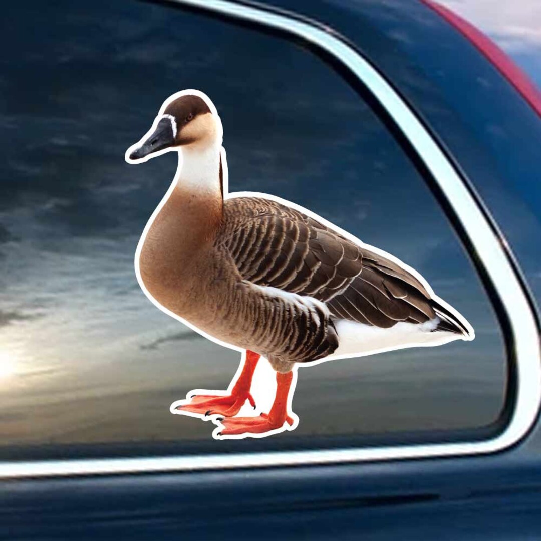 Duck Side - Vinyl Decal for Laptop, Windows, Glass and Cars Sticker - Etsy