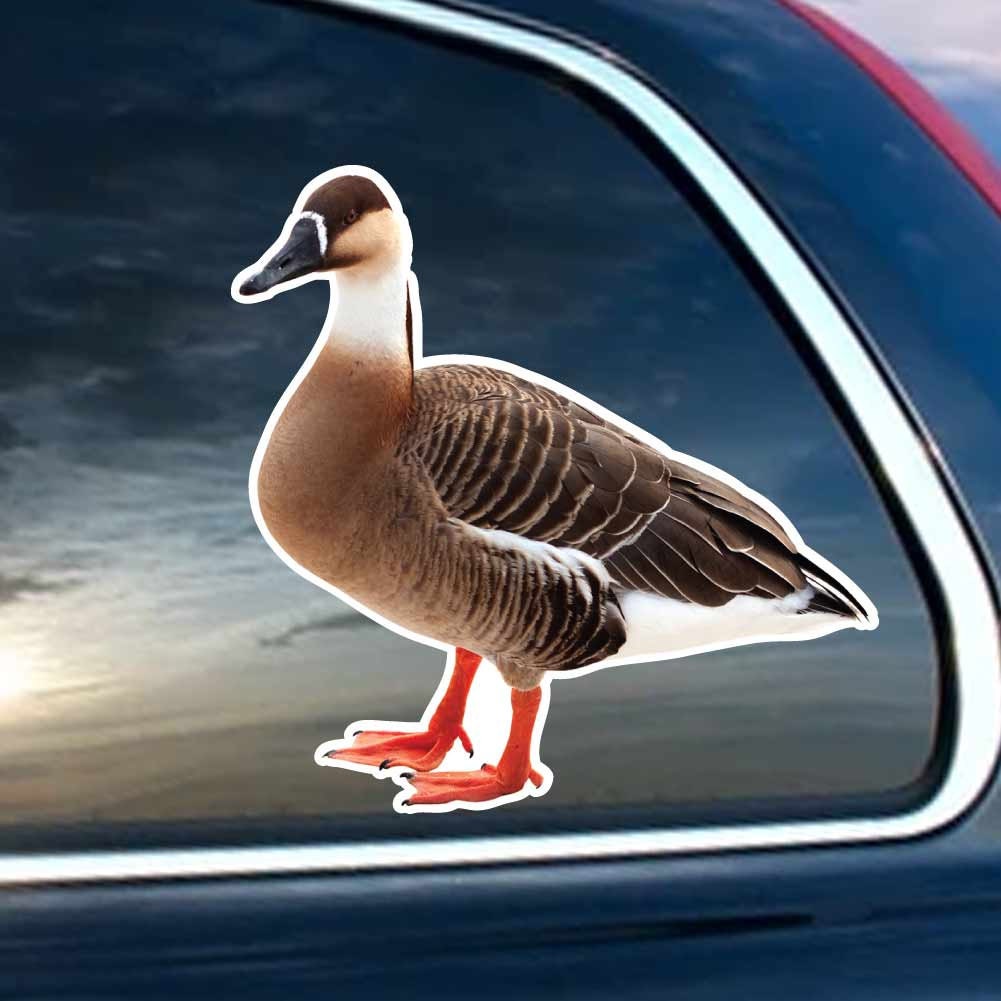 Duck Side - Vinyl Decal for Laptop, Windows, Glass and Cars Sticker - Etsy