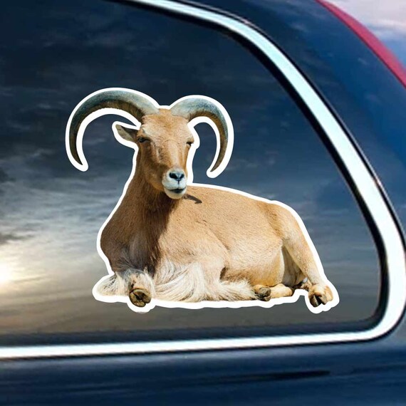 Vinyl Goat- Reflective DRAFT Vinyl Goat- Reflective DRAFT