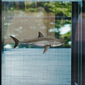 Gran tiburón blanco - Vinilo adhesivo estático a todo color