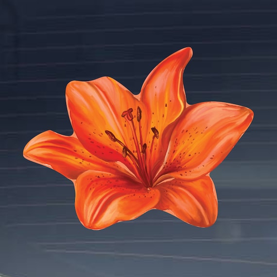 Tiger Lily Watercolor Full Color - Vinyl Decal for Car, Macbook, or Other  Laptop (Many sizes available)
