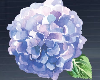 Blue Hydrangea Watercolor Full Color - Vinyl Decal for Car, Macbook, or Other Laptop (Many sizes available)