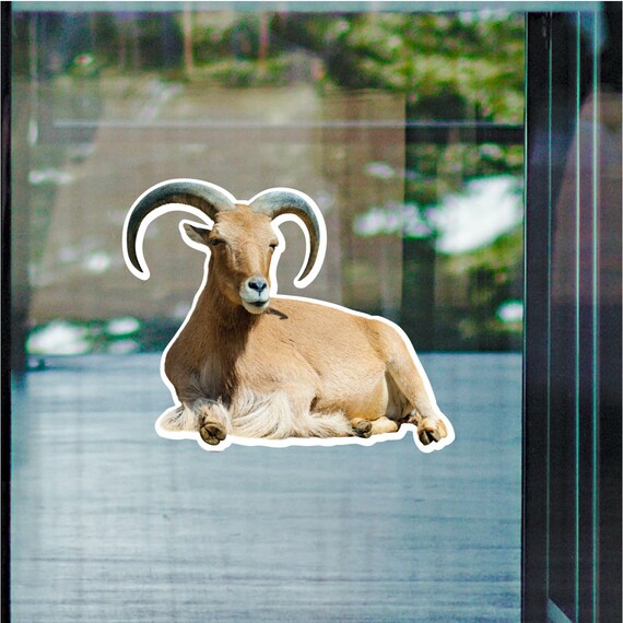 Vinyl Goat- Reflective DRAFT Vinyl Goat- Reflective DRAFT