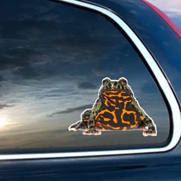 Fire Bellied Toad - Vinyl Decal for Laptop,  Windows, Glass and Cars Sticker