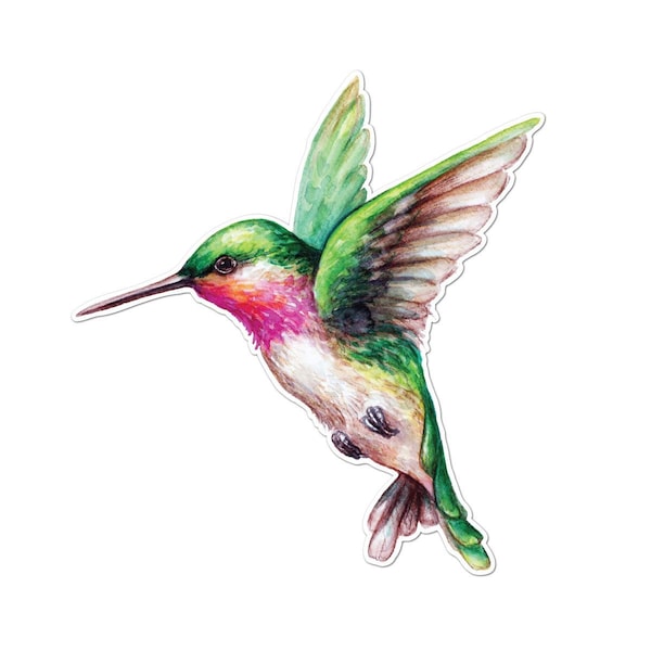 Watercolor Ruby Throated Hummingbird - Vinyl Decal for Car, Macbook, or Other Laptop (Many sizes available)