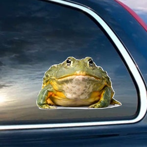 May include: A green and yellow frog with large, bulging eyes. The frog is sitting on a car window.