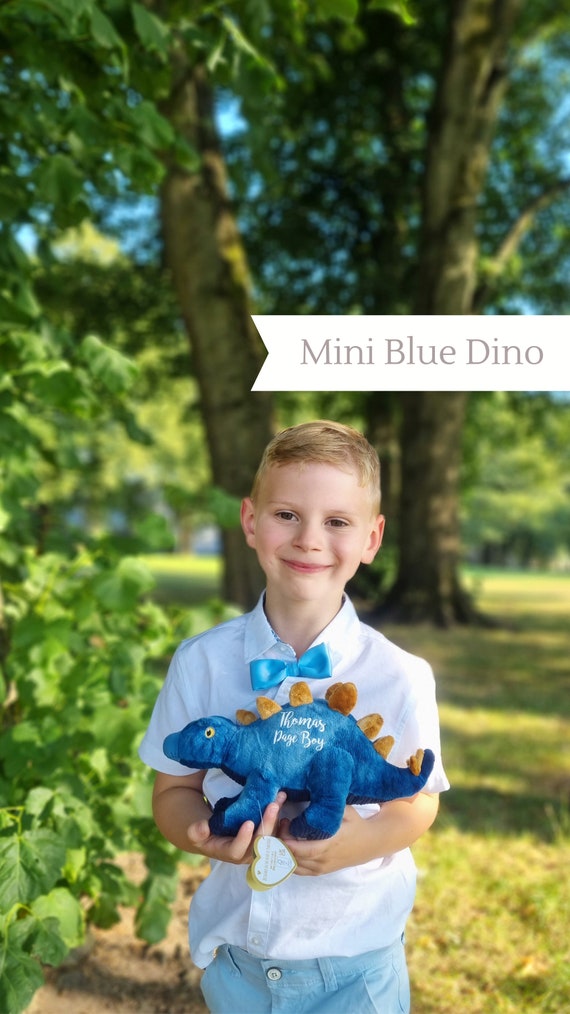 Page boy gifts best sale dinosaur