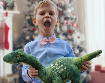 Gift For Kids, Personalised Soft Toy, Kids Gift, Dinosaur Gift, Stocking Filler, Birthday kids Gift, Brachiosaurus Gift