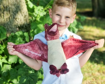 Personalisiertes Geschenk, Dinosaurier Plüschtier, personalisiertes Dinosaurier Geschenk, Geschenk für ihn, Dinosaurier Stofftier, Dinosaurier Geschenk, Geschenke für Kinder