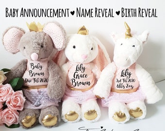 Big Sister Announcement, Baby Reveal, Big Sister Gift, Big Sister to be, Pregnancy Announcement, New Baby Gift, New Baby Girl, Teddy Bear