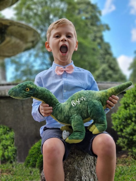 Page Boy Gift personalised Dinosaur Gift for Kids Sibling Gift
