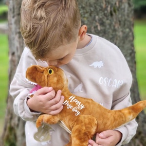 Dinosaur, Personalised Gifts, Eco Friendly, Dinosaur Birthday, Eco friendly Gifts, Gifts for Kids, Personalized Gifts, Toy, Plush Toy, Toys