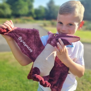 Kids Dinosaur Gift, Personalised Gifts For Kids, Personalised Soft Toy, Ring Bearer Gift, Page Boy Gift, Gift For Kids
