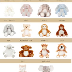 Personalised Memory Teddy Bear, Memory Gift, Soft Toy, Memorial Gifts, Remembrance Gift, Personalised Gift, Sympathy Gift, Miscarriage Gift image 11