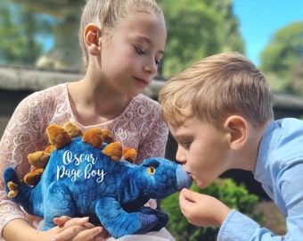 Personalisierte Umweltfreundliche Dinosaurier, Geburtstagsgeschenke, Dinosaurier personalisierte Spielzeug, Geschenk für Baby, Dinosaurier, Umweltfreundliches Geschenk, Plüschtier