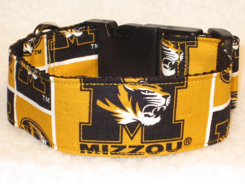 Martingale Collar or Side Release Dog Collar 1 BlackGold 1.5 /& 2 inch Wide Dog Collar University of Missouri Truman the Tiger